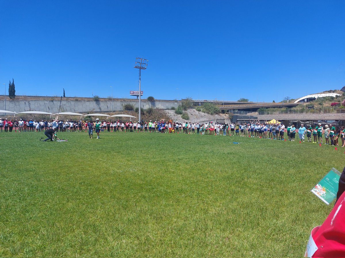 Michelle Evans tweet media