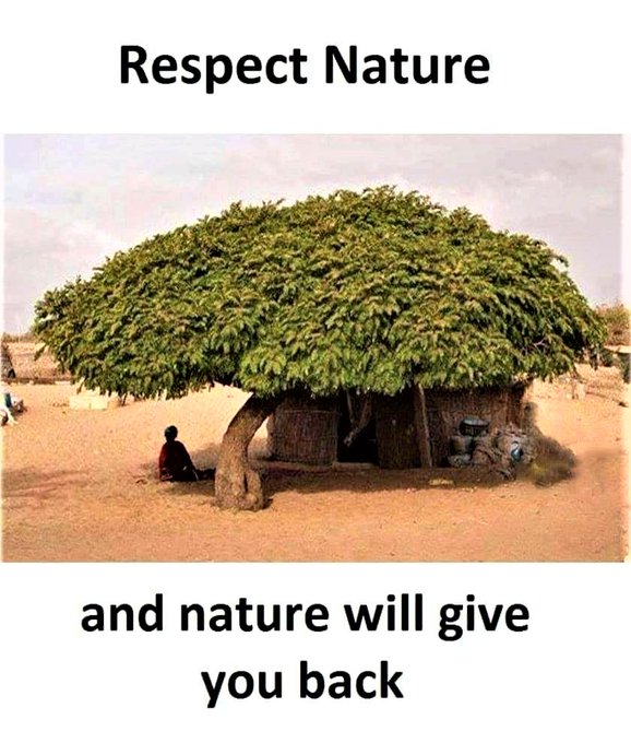 Night thoughts

A quick reminder for all friends of humanity.....trees. A picture is worth a thousand words.💚🌿☘️🌱🌲🌳🍀💚