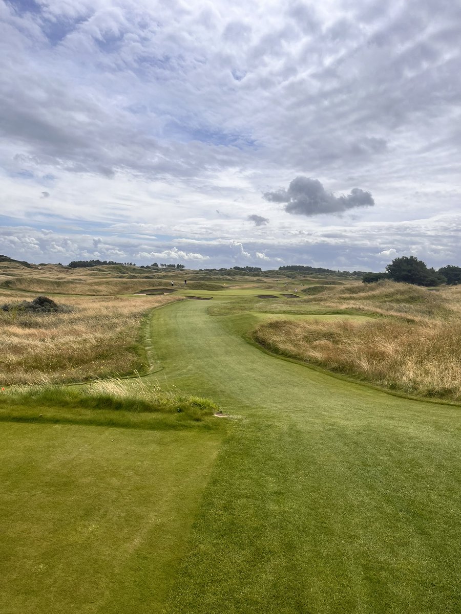 Lily Hirst tweet media