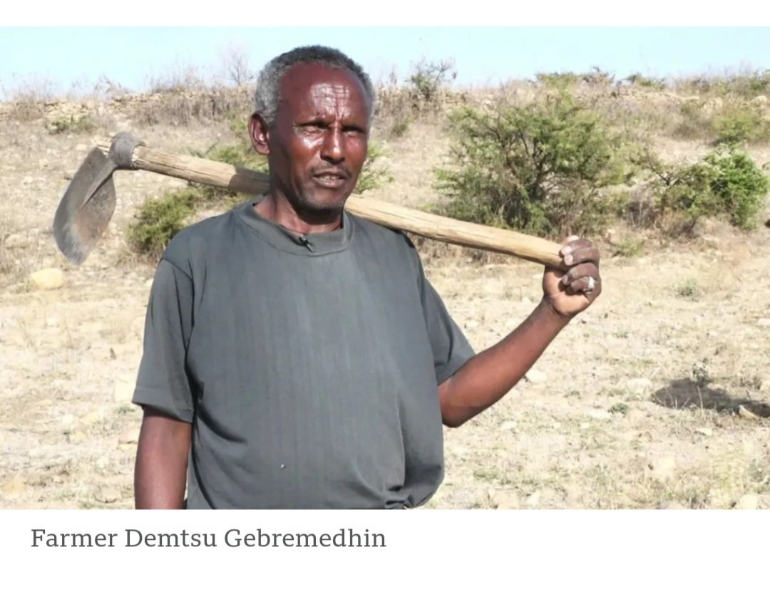 period for food security, when farmers need to plant crops to take advantage of the seasonal rains, unfortunately #Tigrayan farmers can't get this chance due to the lack of farm equipment. <a href="/UNGeneva/">United Nations Geneva</a>
#AllowAccessToTigray <a href="/FAO/">Food and Agriculture Organization</a> <a href="/hrw/">Human Rights Watch</a> <a href="/USAID/">USAID</a>