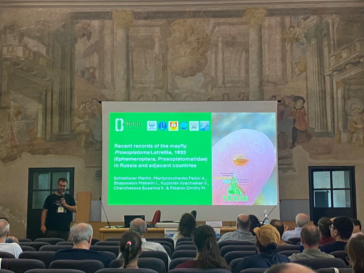 Martin Schletterer (@m_schletterer) on Twitter photo During <a href="/Ijmep24/">IJM Congress 2024</a> three talks focused on the #mayfly family #Prosopistomatidae & the European species #๐๐ณ๐ฐ๐ด๐ฐ๐ฑ๐ช๐ด๐ต๐ฐ๐ฎ๐ข #๐ฑ๐ฆ๐ฏ๐ฏ๐ช๐จ๐ฆ๐ณ๐ถ๐ฎ - an important #flagship #species. <a href="/vjosariverpark/">Vjosa National Park</a> <a href="/uniinnsbruck/">@uniinnsbruck@social.uibk.ac.at</a> @TheFleeLab <a href="/JanMartini4/">Jan Martini</a> <a href="/TheaSchwingsha1/">Thea Schwingshackl</a> <a href="/BOKUvienna/">BOKU University</a> <a href="/BOKU_IHG/">BOKU_IHG</a> During <a href="/Ijmep24/">IJM Congress 2024</a> three talks focused on the #mayfly family #Prosopistomatidae & the European species #๐๐ณ๐ฐ๐ด๐ฐ๐ฑ๐ช๐ด๐ต๐ฐ๐ฎ๐ข #๐ฑ๐ฆ๐ฏ๐ฏ๐ช๐จ๐ฆ๐ณ๐ถ๐ฎ - an important #flagship #species. <a href="/vjosariverpark/">Vjosa National Park</a> <a href="/uniinnsbruck/">@uniinnsbruck@social.uibk.ac.at</a> @TheFleeLab <a href="/JanMartini4/">Jan Martini</a> <a href="/TheaSchwingsha1/">Thea Schwingshackl</a> <a href="/BOKUvienna/">BOKU University</a> <a href="/BOKU_IHG/">BOKU_IHG</a>