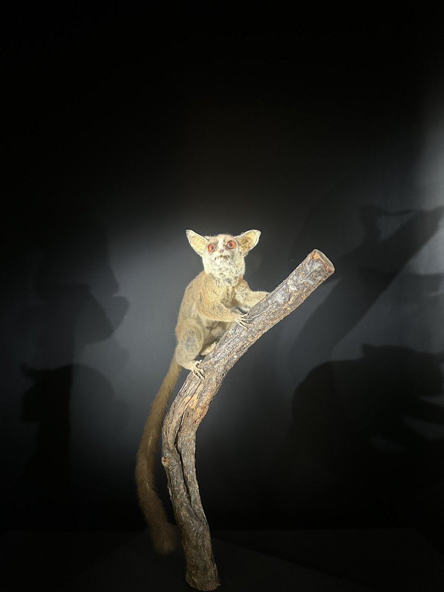 花粉の時期これ