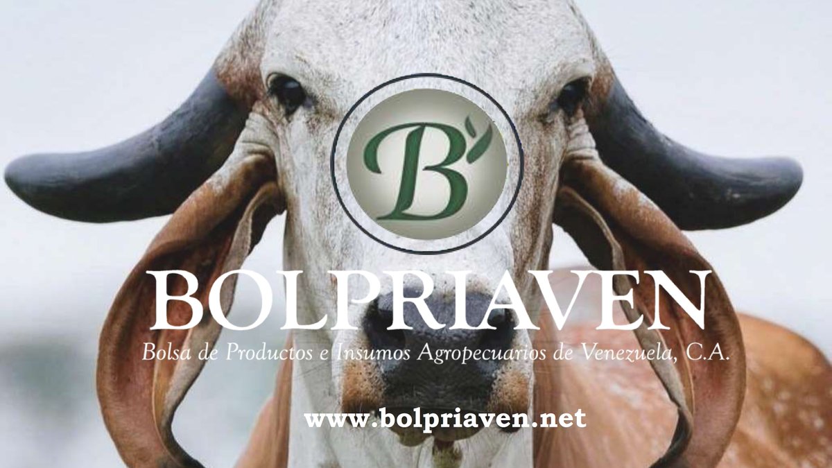 rogerinvest76's tweet photo. Resumen semana del 22 al 26 de julio en la Bolsa de Productos e Insumos Agropecuarios de Venezuela #Bolpriaven Realizamos 503 operaciones por un monto total de USD 28.374.553,68. https://t.co/2vJv2jzPoY