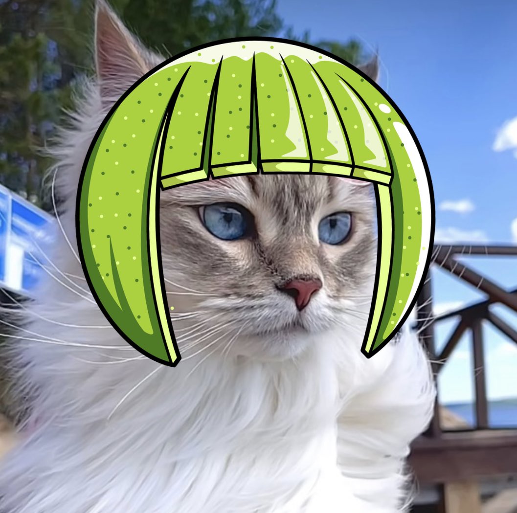 kinglimecat's tweet photo. Let's #limeup famous cats below and tag them ๐ป๐
@ umasiberian (instagram)
#cat #cutecat #meme #limecat #limedup https://t.co/BcE99wdCPg
