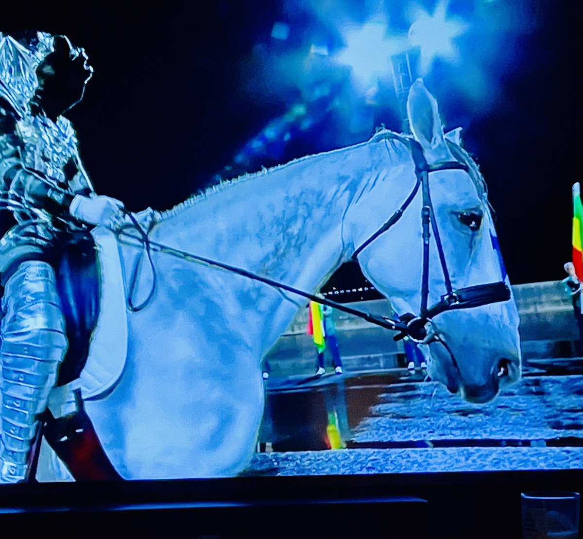 TauraCornwall's tweet photo. Even the horse looks miserable and bored 
#OlympicGames #openingceremony https://t.co/maBH2jIFa7