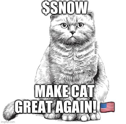 MrSnow__'s tweet photo. We are launching soon🚀

$SNOW  is a decentralized meme coin built on #Solana

First 500 Address 100,000 $SNOW

Follow 🔔, like, RT (Drop your $SOL wallet) https://t.co/fC1BFQQ9gA