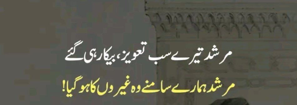 Maddy ( i bleed Green🇵🇰) (@geniusmad_) on Twitter photo 