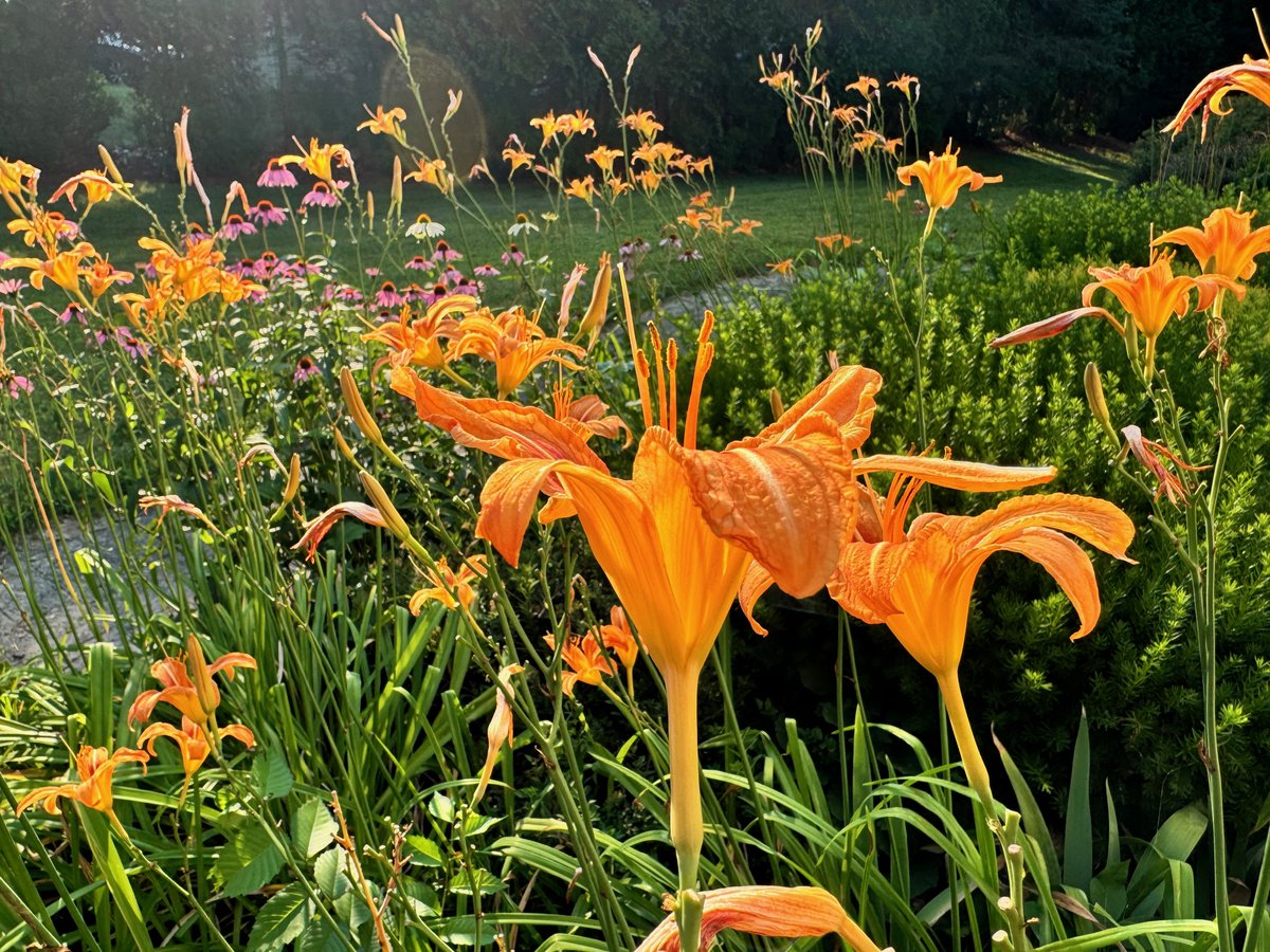 Todd Selig tweet media