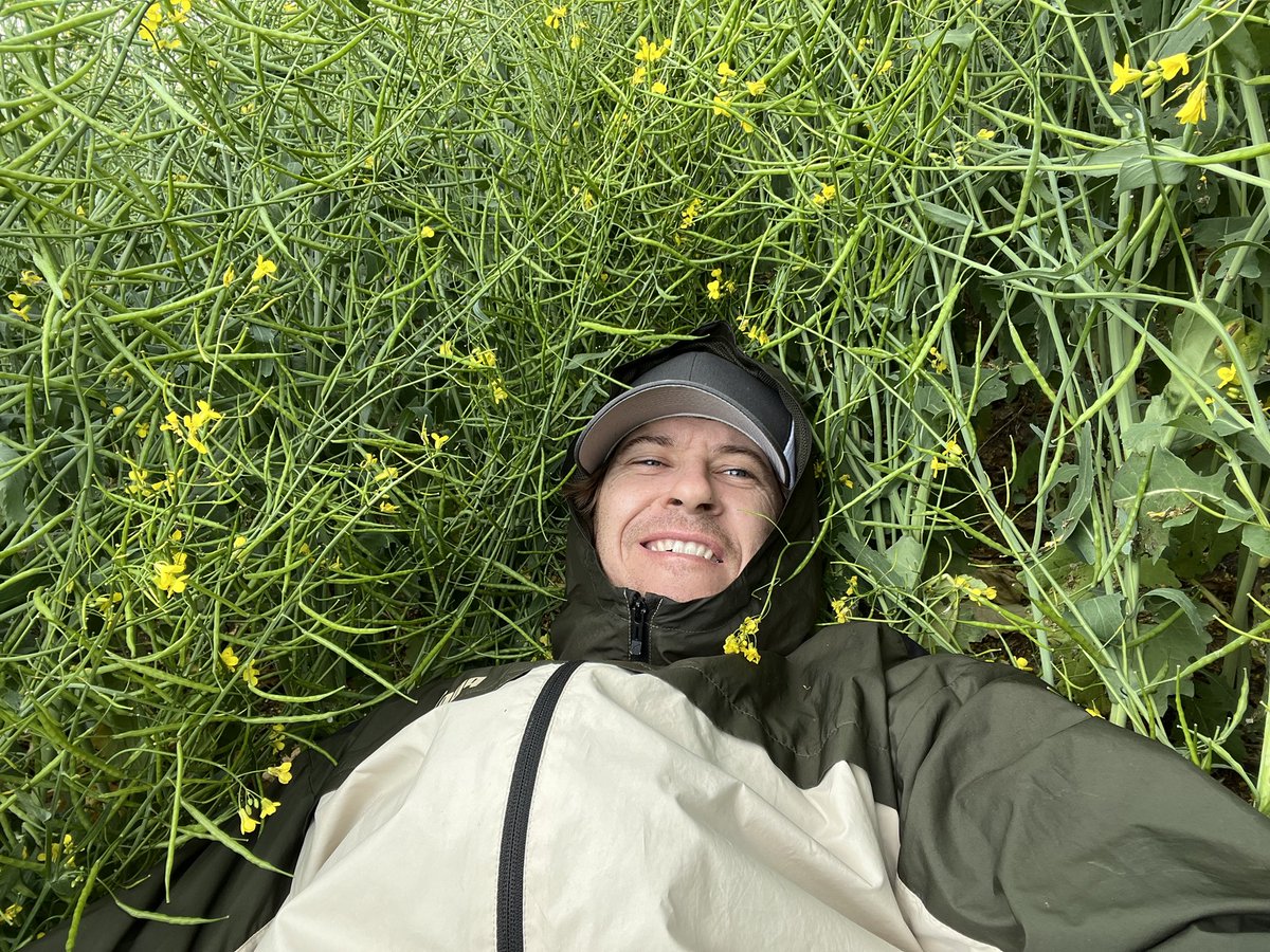 Alexander Murzak tweet media