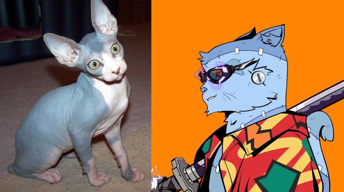 The Holders tweet media