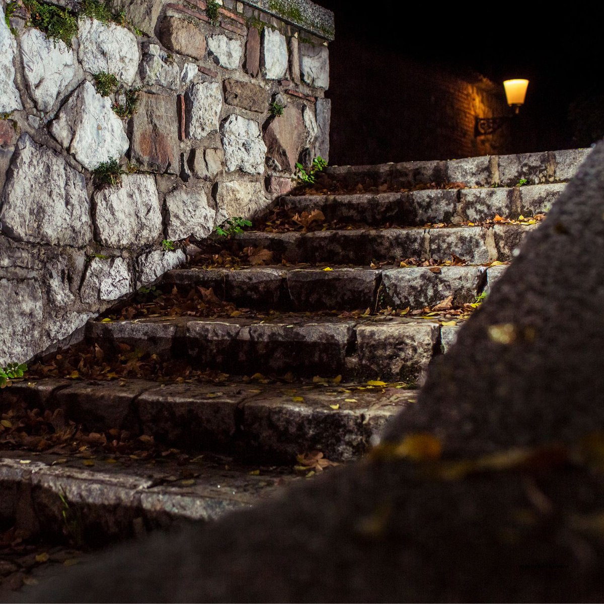 Hörst du die Gründe rufen

Hörst du die Gründe rufen
Im Traume halb verwacht?
O, von des Schlosses Stufen
Steig nieder in die Nacht.

Die Nachtigallen schlagen
Der Garten rauschet sacht,
Es will dir Wunder sagen,
die wunderbare Nacht.

(Joseph von Eichendorff)