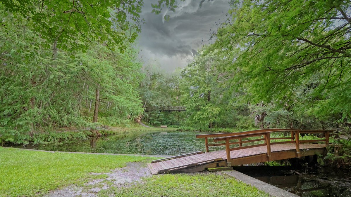 JimBaileyPhotos's tweet image. Ravine Gardens State Park. @FLStateParks #floridastateparks #palatka @ravinegardens #ravinegardens