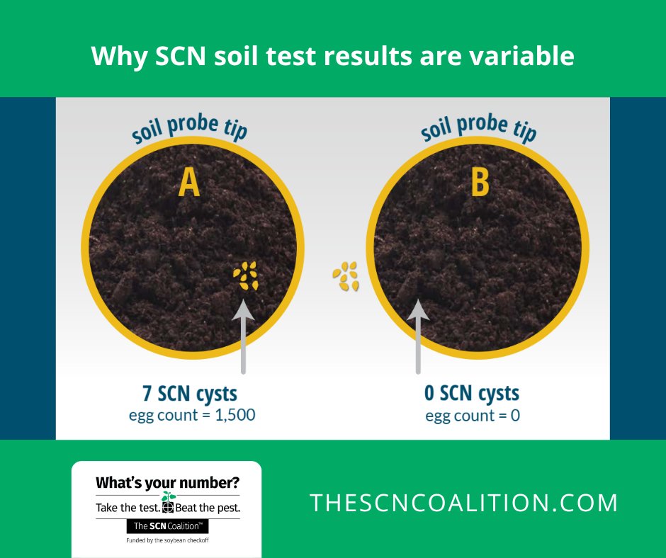 The SCN Coalition tweet media