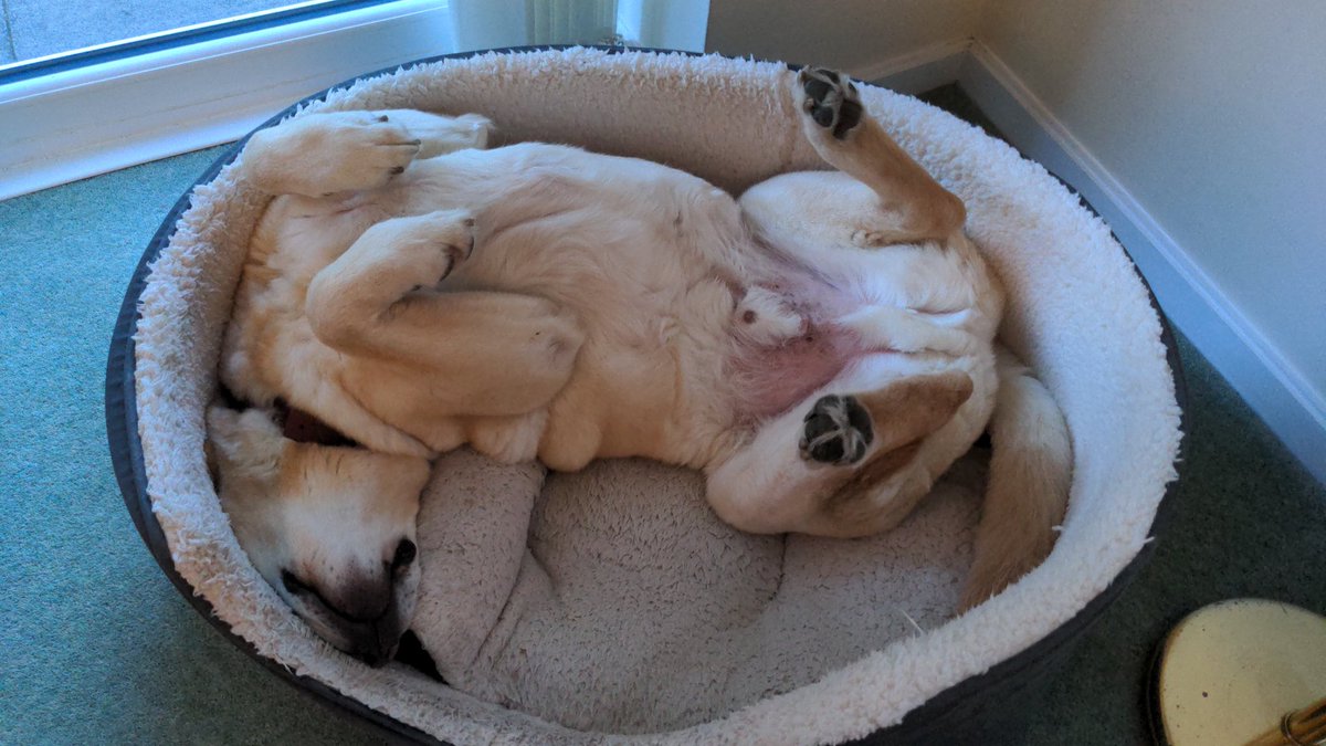 Mark Hart tweet media