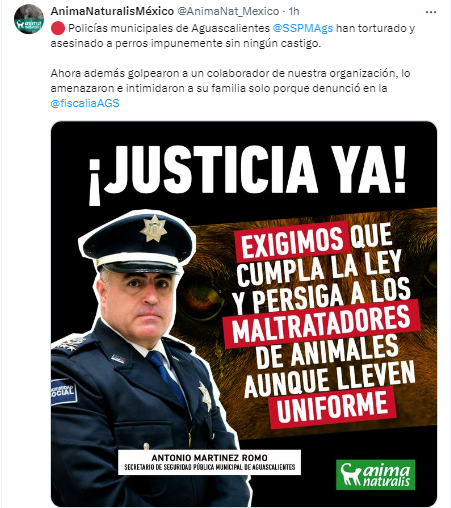 Lucía Hernández | Amo La Ciencia tweet media