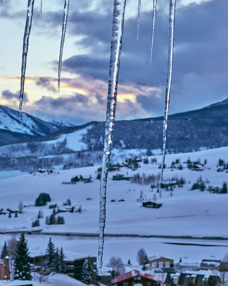 TheNextSummitA1's tweet image. What's your favorite season for outdoor adventures and why? 🍁❄️🌤️ 

#ColoradoSummer #AutumnIsComing