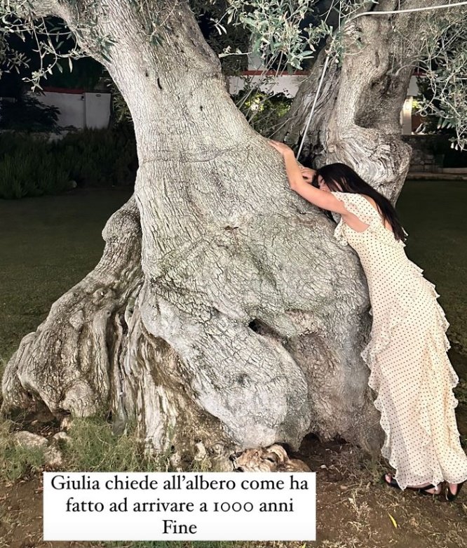 accetta_sara's tweet photo. 🥰🥰🥰❤️ #PRELEMI https://t.co/EvIxT6Cwpz
