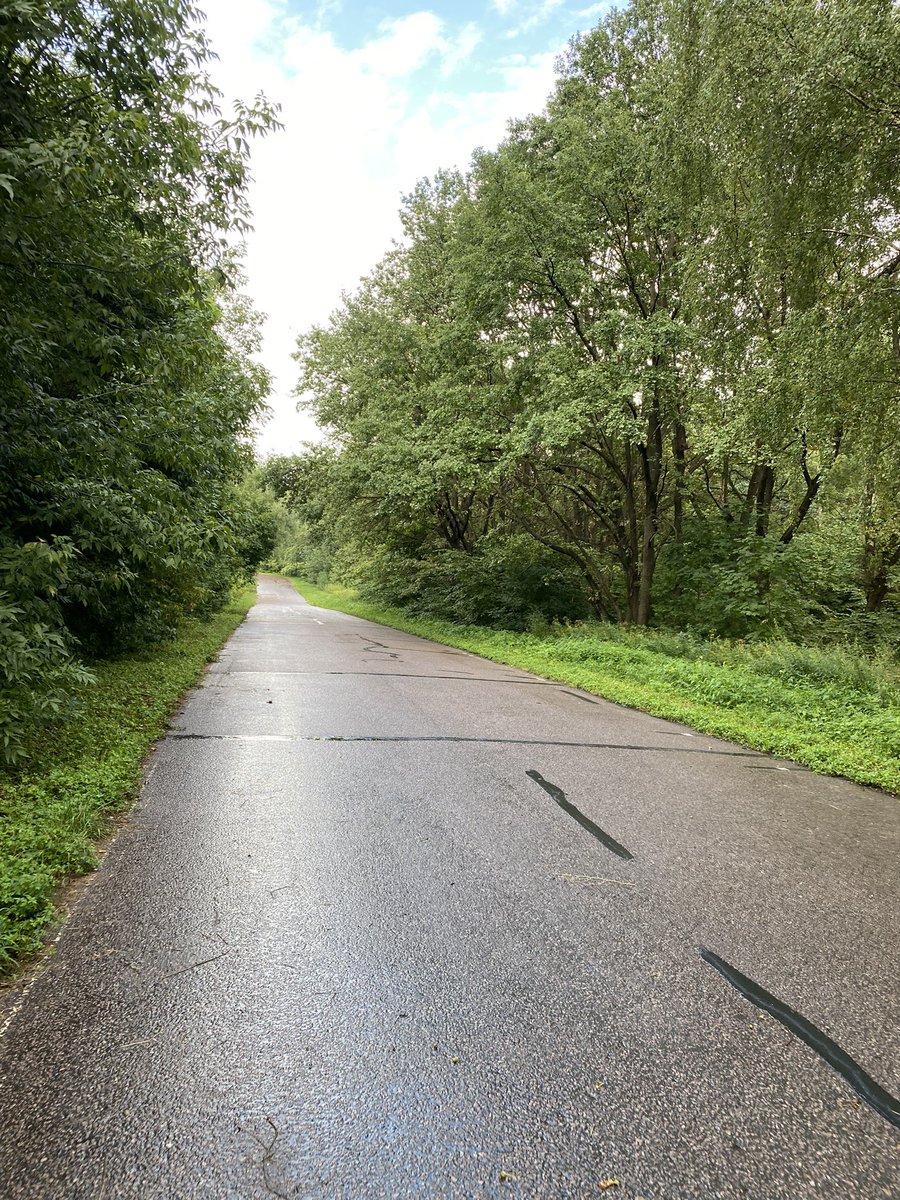 WalidAlshishiny's tweet photo. Therapy 🌧️🌳🏃🏻
#Run #Rain #Garmin https://t.co/ataZIO18hZ