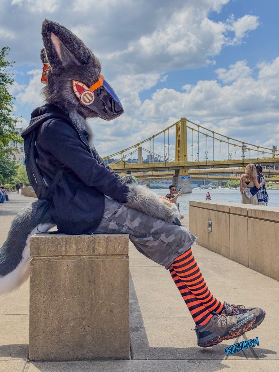 dudisgit's tweet image. Happeh fursuit Fridayz  📷@BitStorm133 #FursuitFriday #anthrocon24