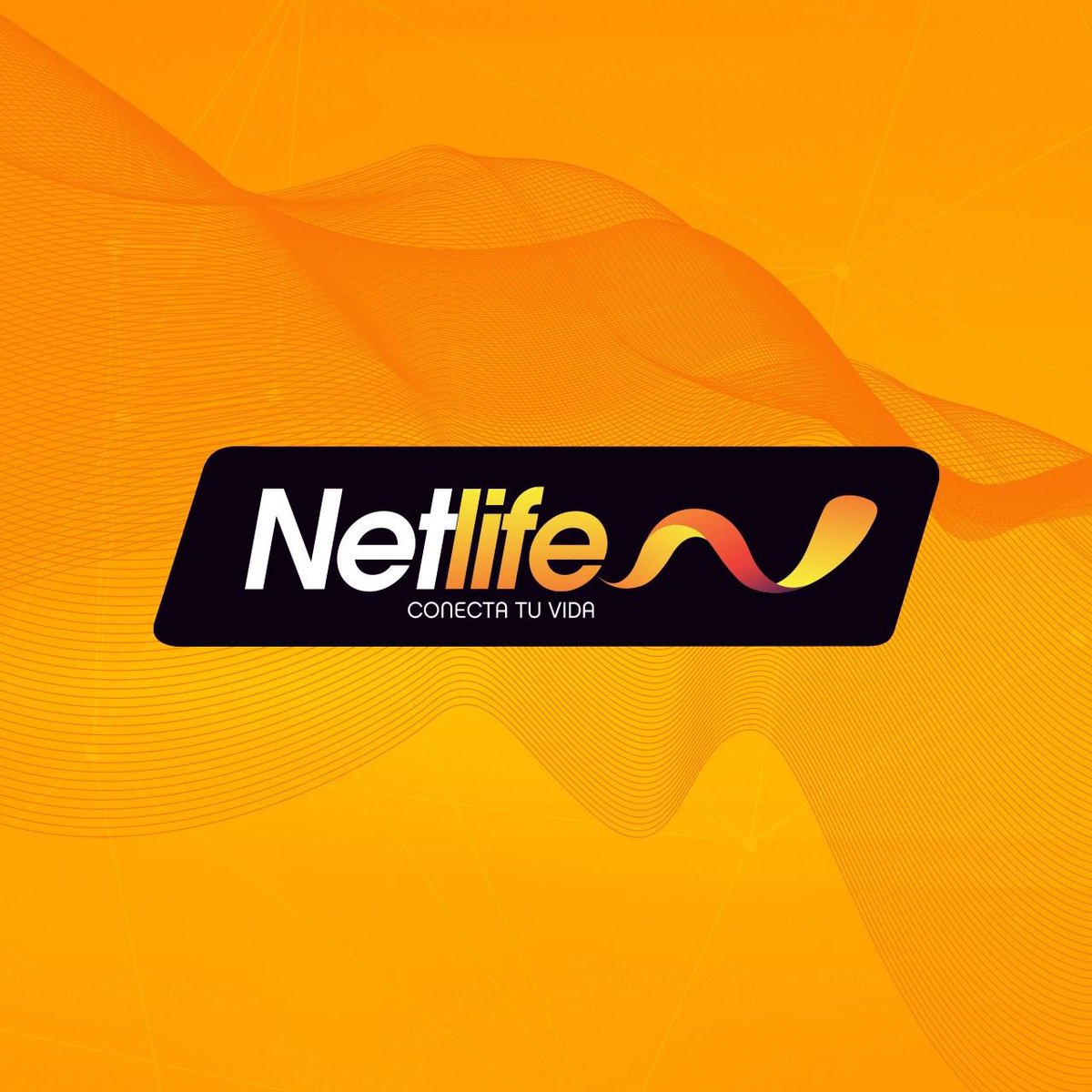 siddymolina's tweet photo. ¡PAREN TODOOOOO! 👀 

Al fiiiin puedo ver la Liga Pro por Netlife, viviendo la pasión del futbol como debe seeeer⚽️❤️ 
Con el mismo plan que ya tenía + 5 dólares mensuales (incluido impuestos).
#LigaPro @NetlifeEcuador https://t.co/550Afvi3iL
