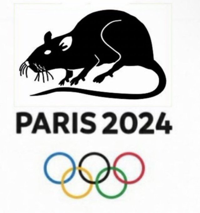 SebaGeranio's tweet image. #OpeningCeremony

#Paris2024