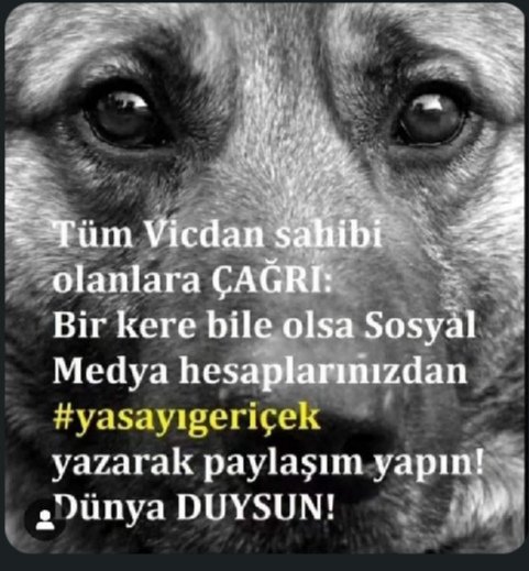 #yasayıgeriçek