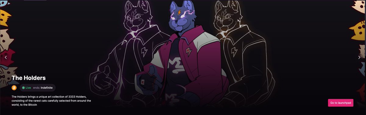 The Holders tweet media