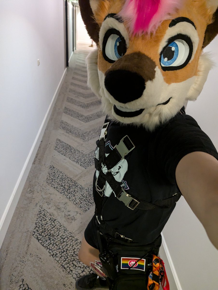 Hello #awoostria! I'm also in you now. :3