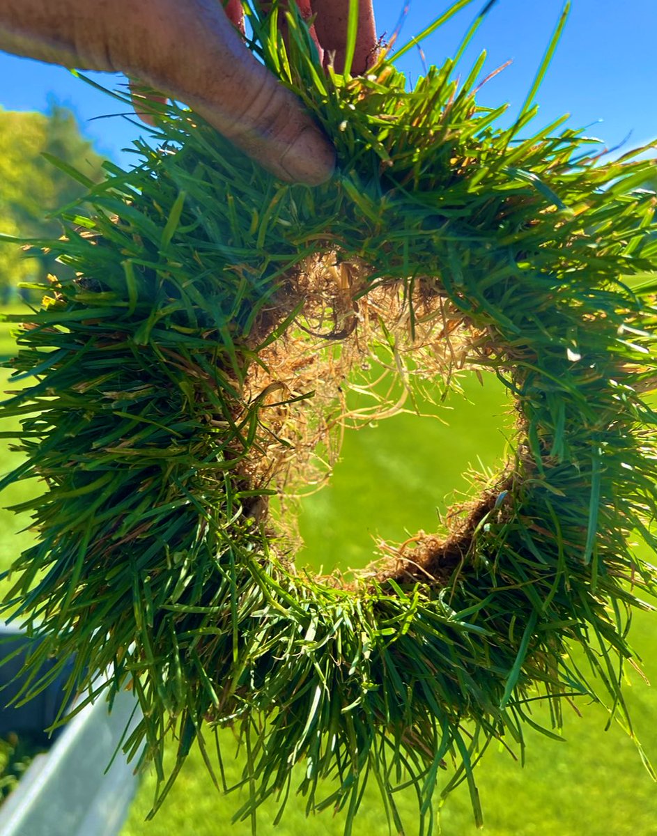 RileyTurf's tweet image. Two years later ….. “the perfect sprinkler doughnut” is still hanging up by the shop.