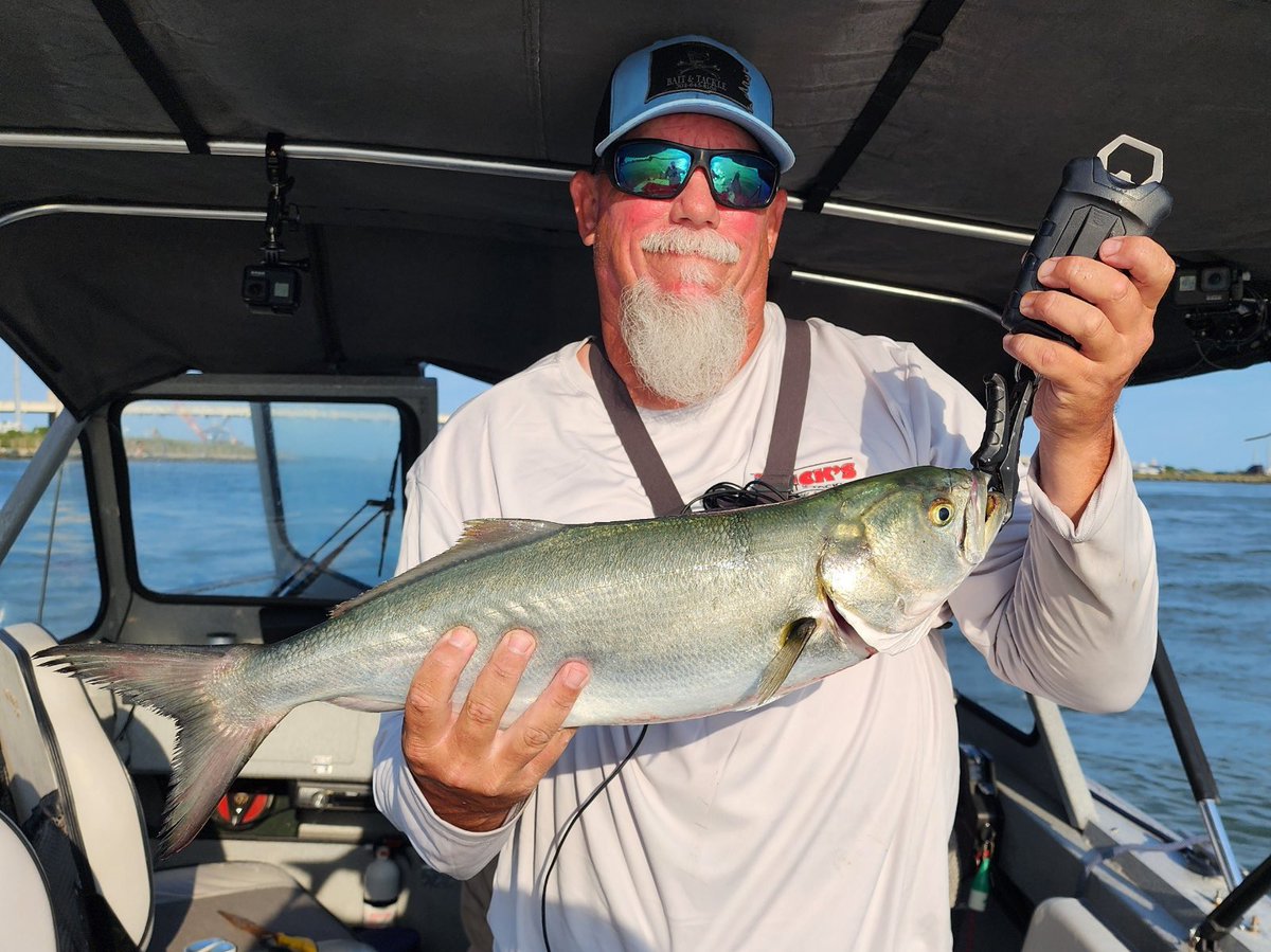 FishyAngler's tweet photo. New video: https://t.co/JlmOmyceJT
Chasing blue fish big and small…😆
#fishyangler #fishing #saltwaterfishig #bluefish #bluefishing #delawarefishing https://t.co/8j4QGY8Hig