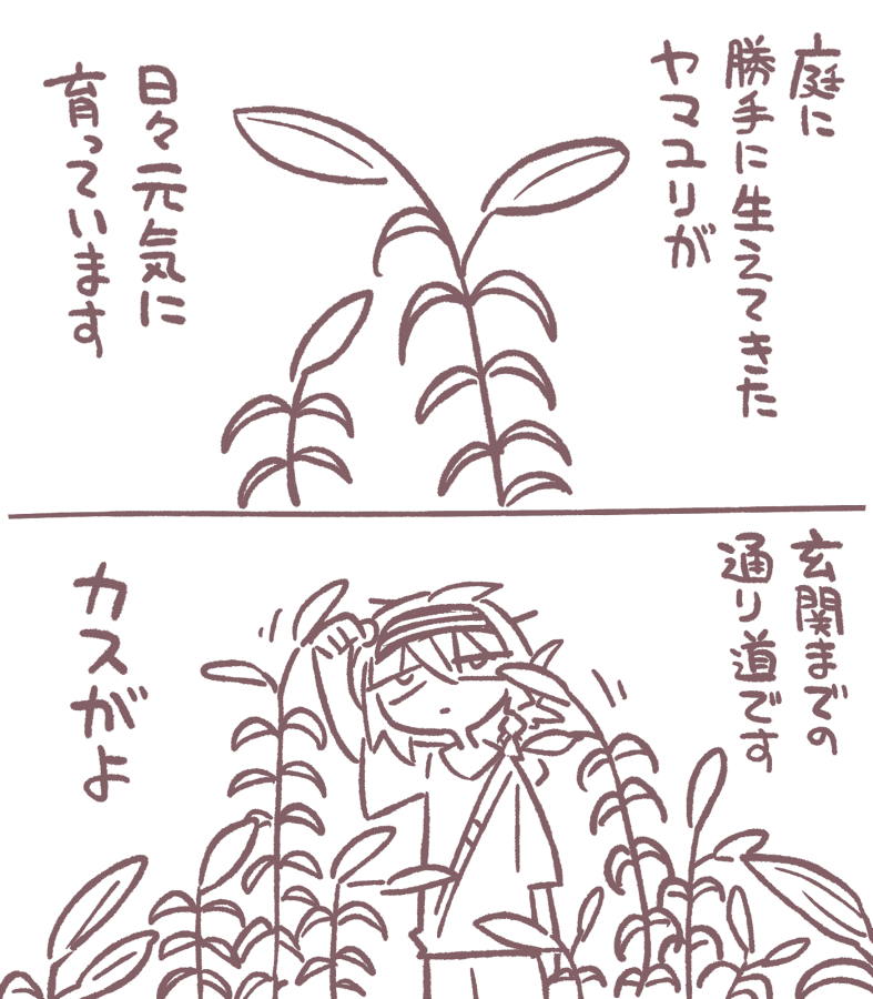 近況 