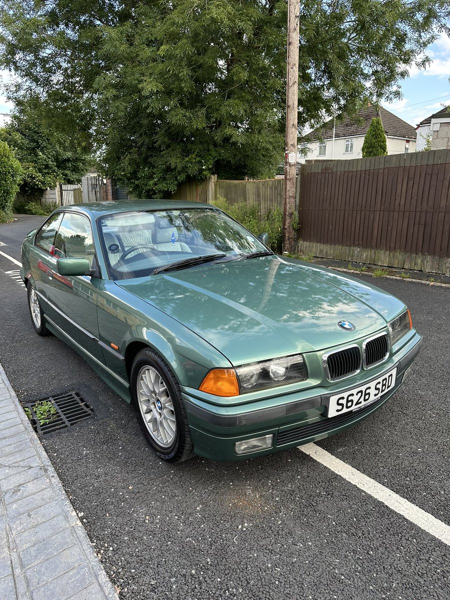 Brandon Patrick tweet media