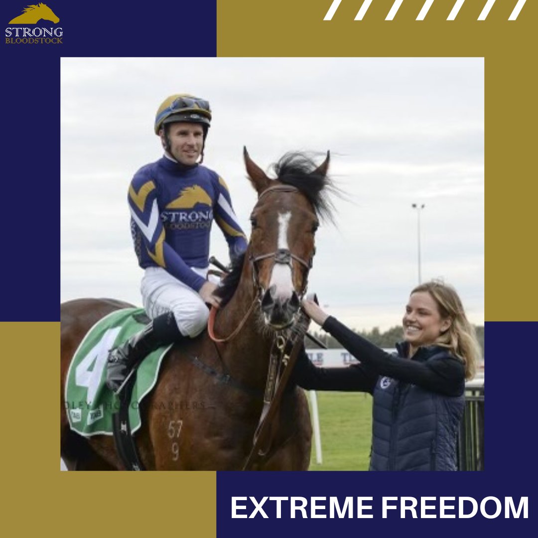 StrongBldStock's tweet photo. We're racing far &amp; wide on the final Saturday of the season

🎰 VEGAS RAIDER aims to end a run of placings @aus_turf_club
🆓 EXTREME FREEDOM looks to find form
🌠 SKIESTHELIMIT is 2nd up @kemblaraces
🧬 GENETIC FREAK is back on his home track @gcturfclub

Good luck to partners 💪 https://t.co/o6zsUmSSq8