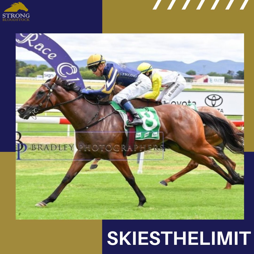 StrongBldStock's tweet photo. We're racing far &amp; wide on the final Saturday of the season

🎰 VEGAS RAIDER aims to end a run of placings @aus_turf_club
🆓 EXTREME FREEDOM looks to find form
🌠 SKIESTHELIMIT is 2nd up @kemblaraces
🧬 GENETIC FREAK is back on his home track @gcturfclub

Good luck to partners 💪 https://t.co/o6zsUmSSq8