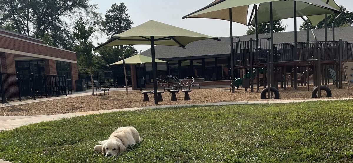 Finnegan is counting the days  (26 more to be exact) before all his friends return to 1050 Lane Allen Road. Summer is a lonely time for a school dog. 🐾