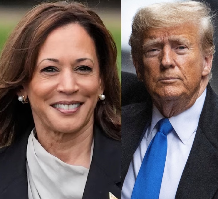 BREAKING: Republican pollster Frank Luntz hits MAGA with the terrible news that Donald Trump seemed to have the "race sewed up" when Biden was running but "you can't say that today."

And it gets even better...

Luntz said that Trump's lead has shrunk to a "very, very narrow