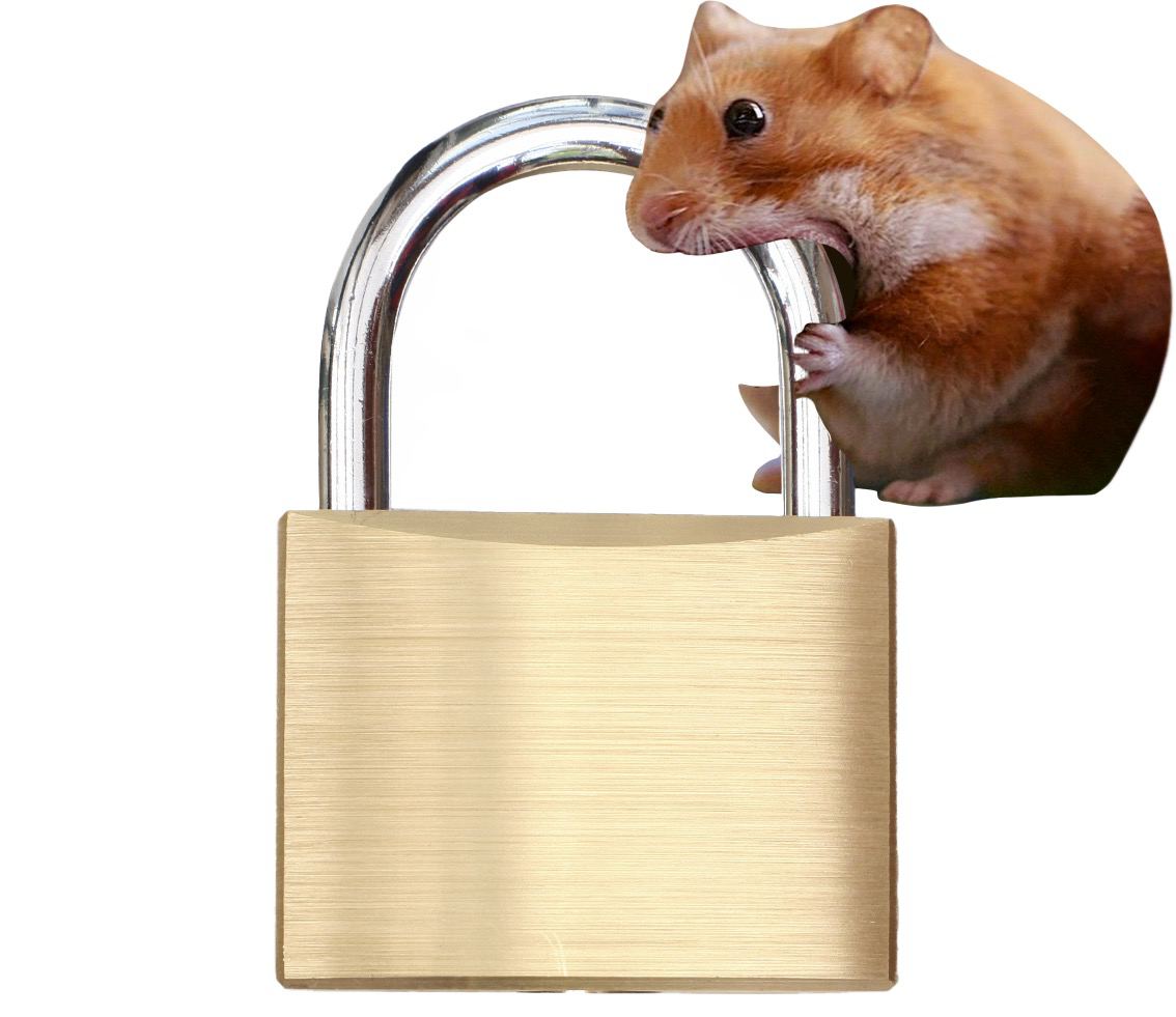 $nomnom is locked in.