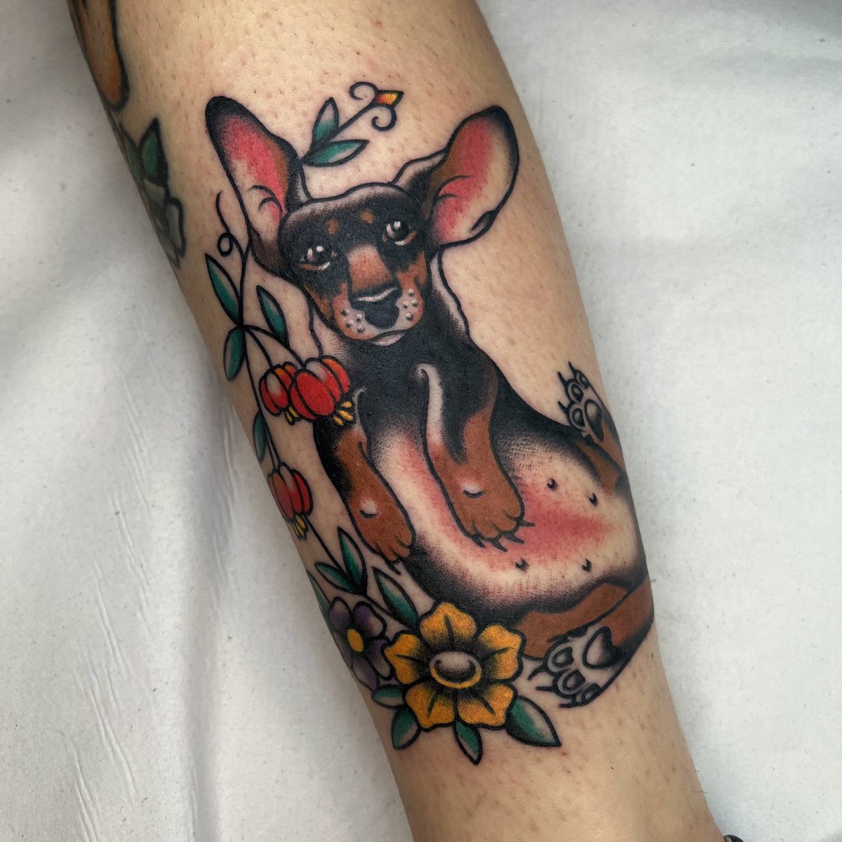 Oi, você poderia dar uma migalha de atenção para a Pitanguinha?