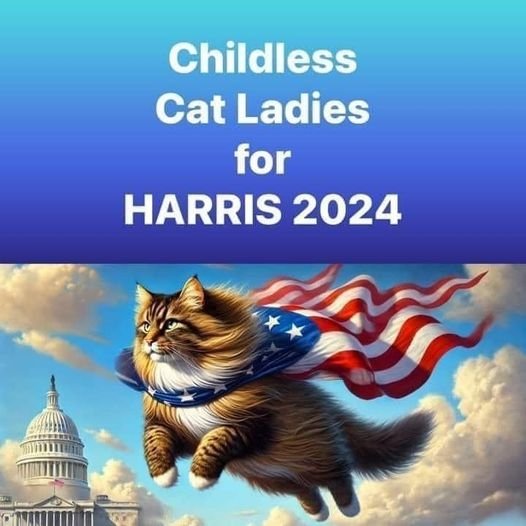 AllModConz's tweet image. So glad to see Dems fighting back for a change instead of &quot;they go low, we go high&quot; philosophy. This childfree cat lady is voting #Kamala2024
