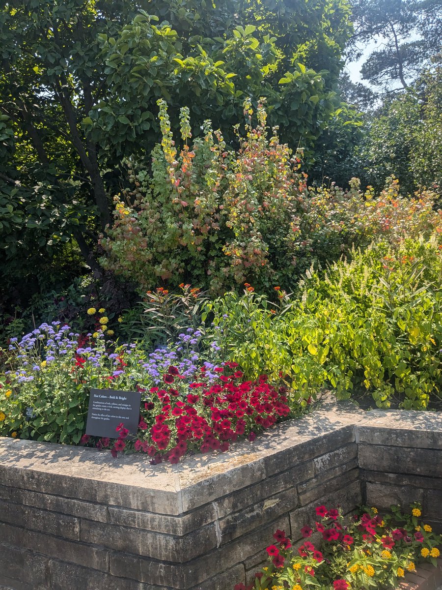 d_bead's tweet photo. In a touch garden, have you ever experienced this kind of love 😘? 💞#touchmeinthemorning 💞 😗 💞 💕#overjoyed #soinlove #beauty https://t.co/C3Aj0doSBT