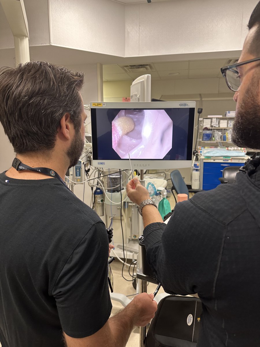 UMichGIHep-Fellowship tweet media