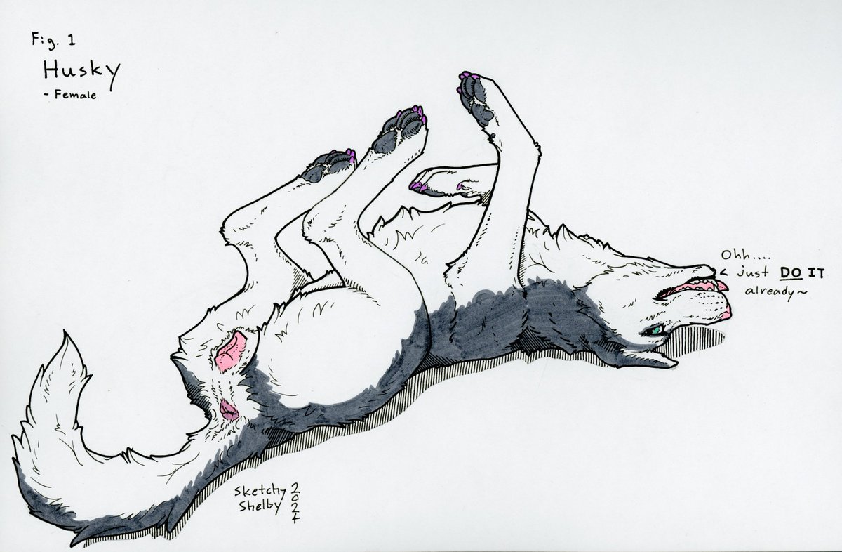 Freaky Feral Friday 😈😈
e621.net/posts/949264
e621.net/posts/4784834
e621.net/posts/4825935
e621.net/posts/4643137