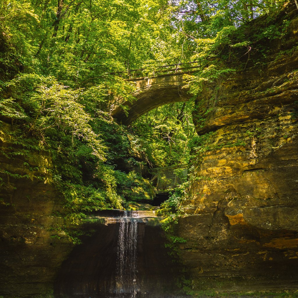 blackholescream's tweet photo. #NaturePhotography #photography #illinois #illinoisphotography https://t.co/oeLkuzaCRh