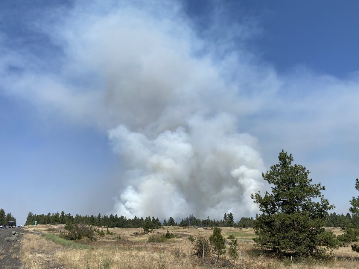BREAKING: The #ColumbiaBasinFire is estimated at 50 acres and is burning 9.5 miles west of Cheney. The Red Cross is setting up an evacuation shelter at Cheney High School that just opened. More details to come <a href="/kxly4news/">4 News Now</a>