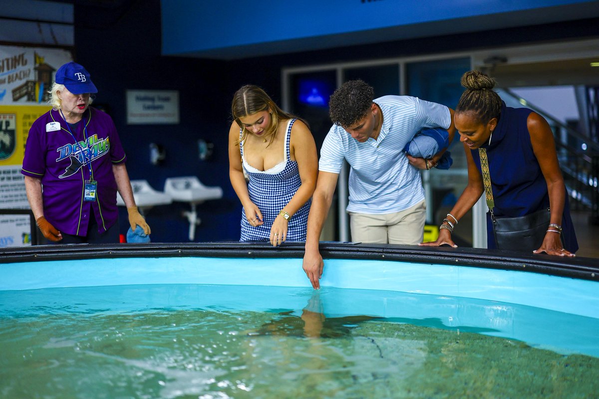 Tampa Bay Rays tweet media