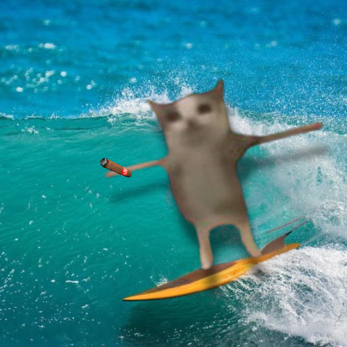 TPoseSOL's tweet photo. @Dior100x grab a bag and ride the wave

$T https://t.co/qljDi74dTn