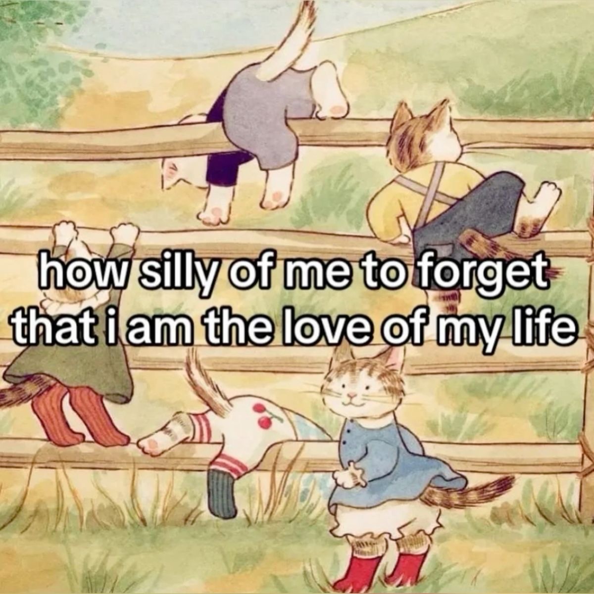 🍂 (@lovandfear) on Twitter photo 