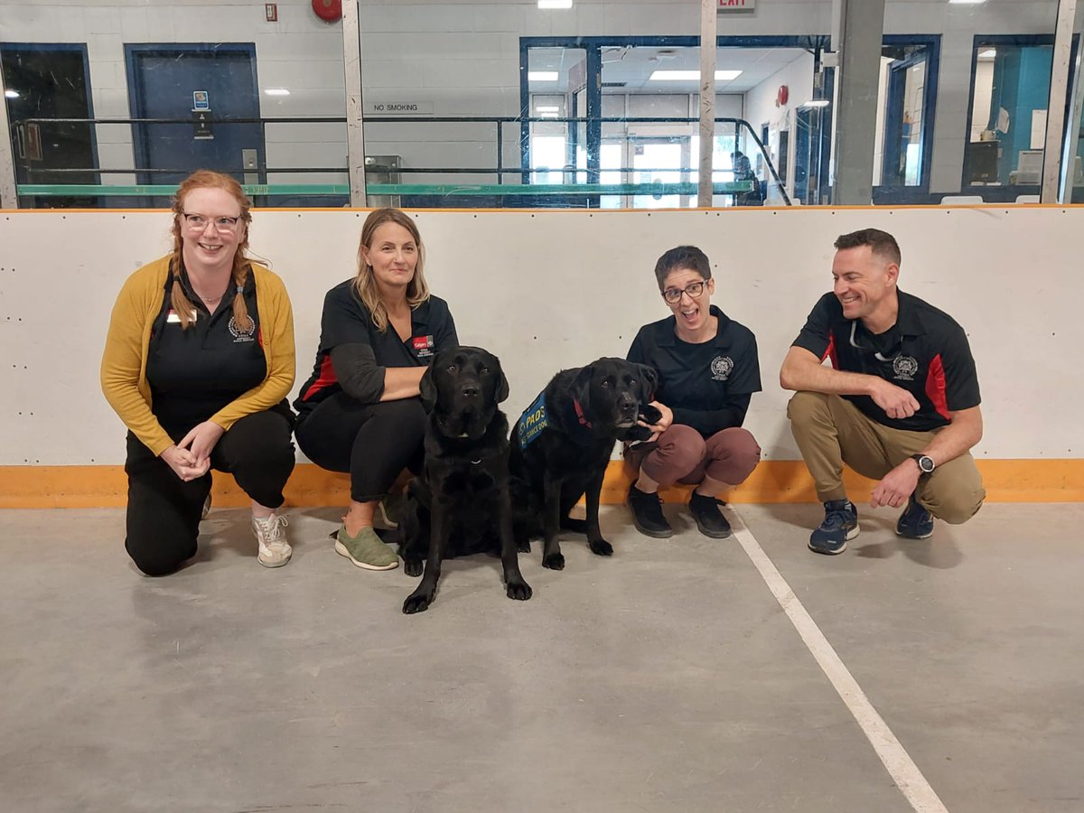 CPS Victim Assistance Support Team (@cpsvast) on Twitter photo Melon and Webber, along with handlers Cst. Aaron and Cst. Darryl, were honoured to serve today at the <a href="/cityofcalgary/">City of Calgary</a> reception centre for Jasper evacuees. #Albertawildfire Melon and Webber, along with handlers Cst. Aaron and Cst. Darryl, were honoured to serve today at the <a href="/cityofcalgary/">City of Calgary</a> reception centre for Jasper evacuees. #Albertawildfire