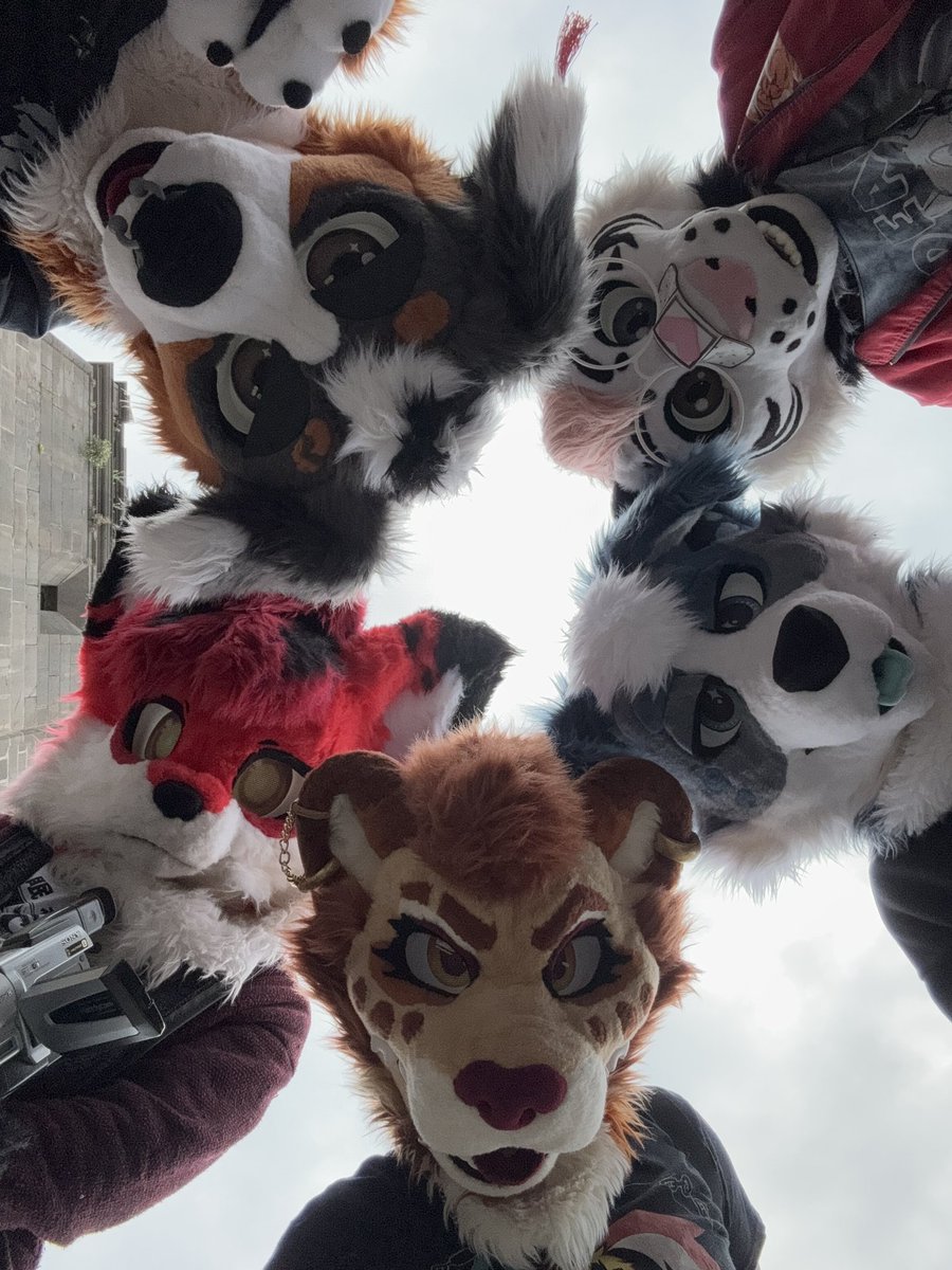 Porque Furcan tal vez fueron los amigos que hicimos en el camino...

 Y son los mejores~🤍

#FursuiFriday #ViernesDeBotargas