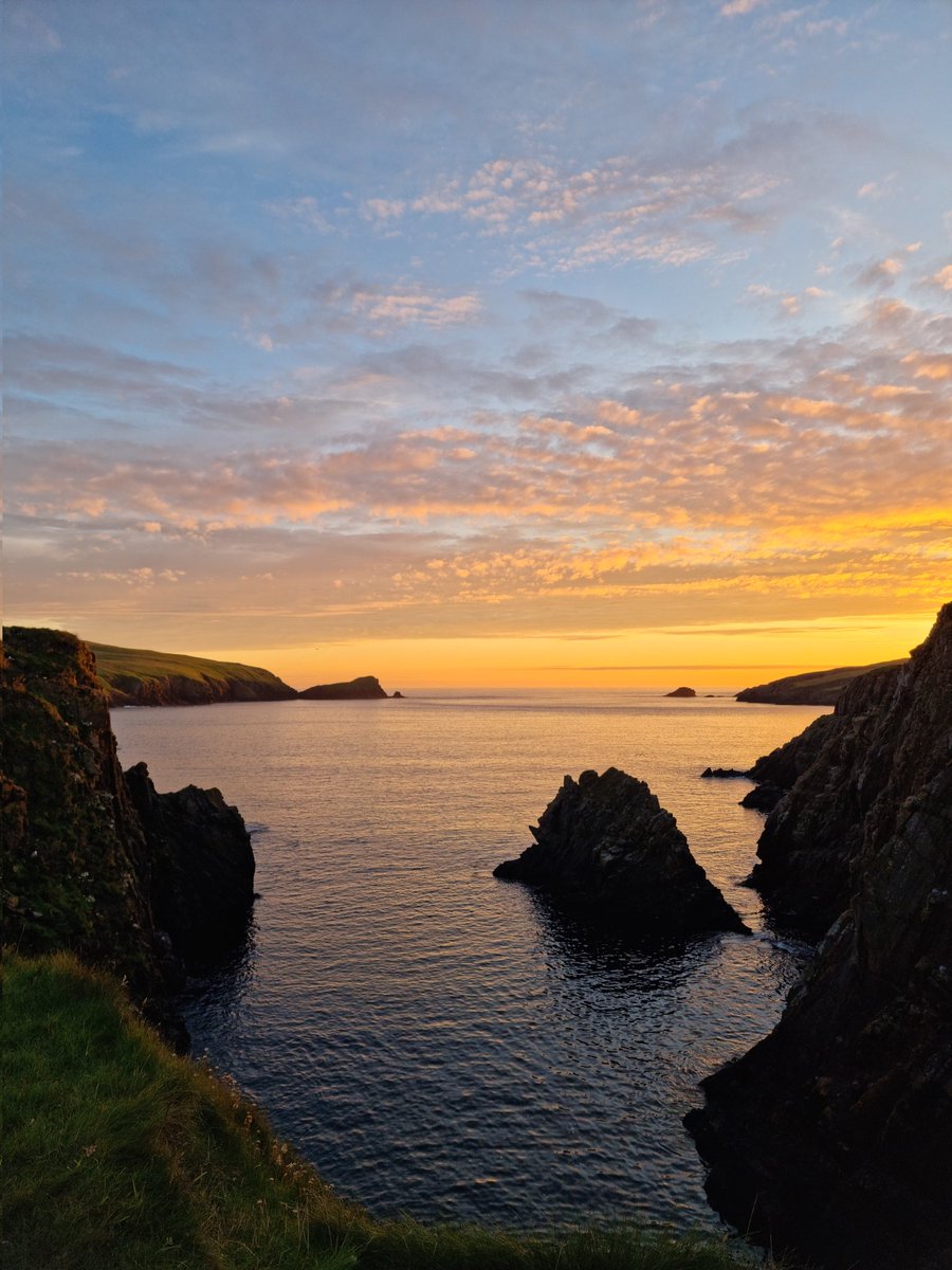 Janette Budge Shetland Knitwear Designer and Tutor tweet media